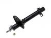 Shock Absorber:21520-GA390