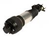 Amortisseur Shock Absorber:211 320 60 13